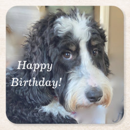 Cute Bernedoodle Underlägg Papper Kvadrat