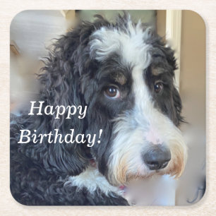 Cute Bernedoodle Underlägg Papper Kvadrat