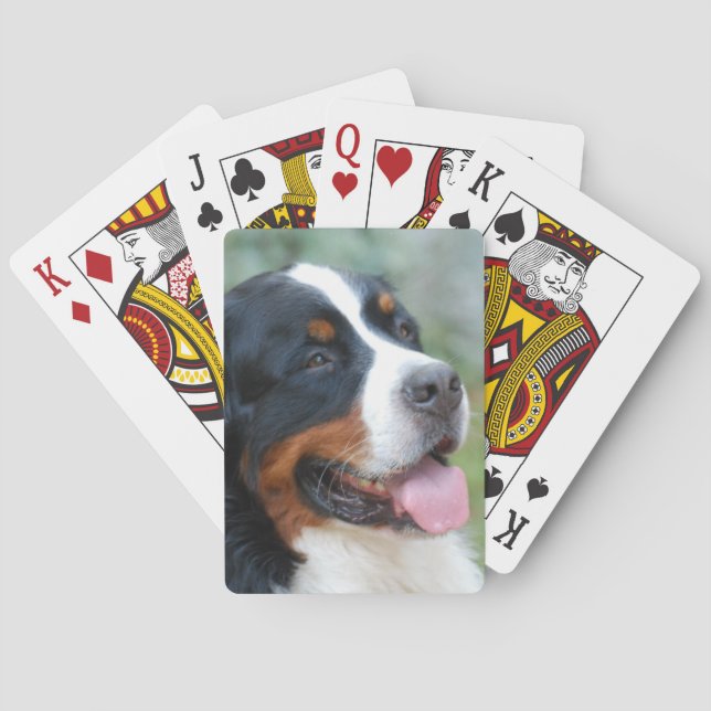 Cute Bernese Deck of Cards Casinokort (Baksidan)