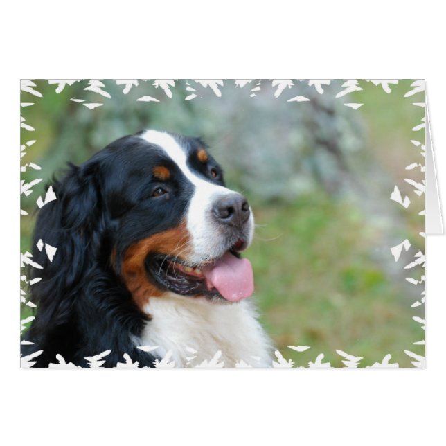Cute Bernese Hälsningskort (Framsidan Horizontal)