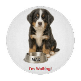 Cute Bernese Mountain Personlig Puppy