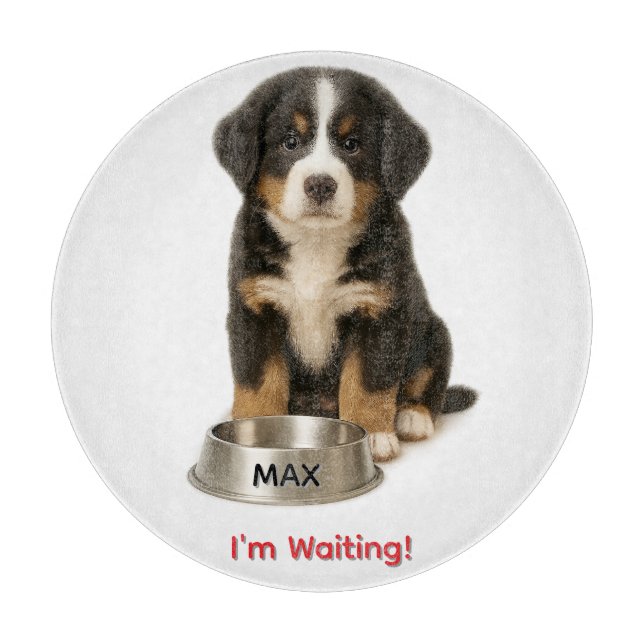 Cute Bernese Mountain Personlig Puppy (Framsidan)