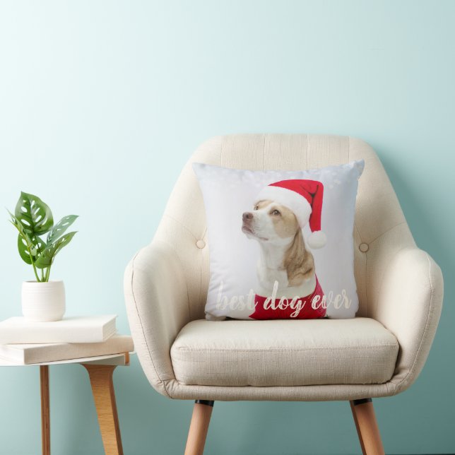 Cute Best Hund Pet Photo Dekorativ kudde någonsin  (Stol)