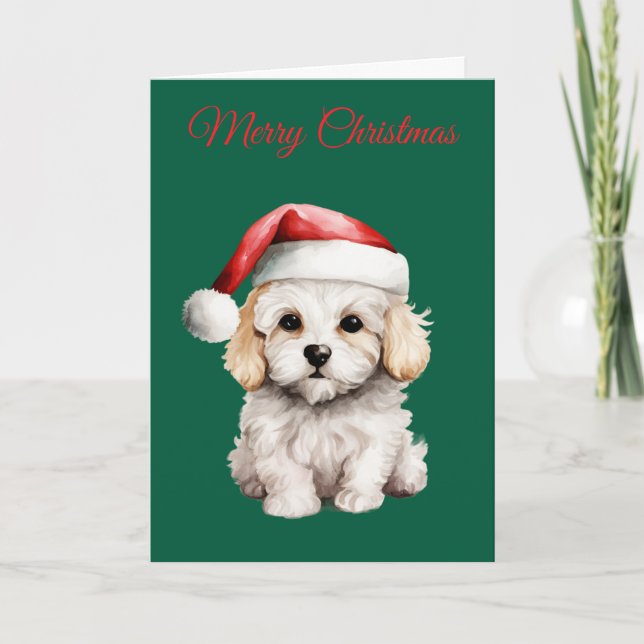Cute Bichon Frise at Christmas Helgkort (Framsida)