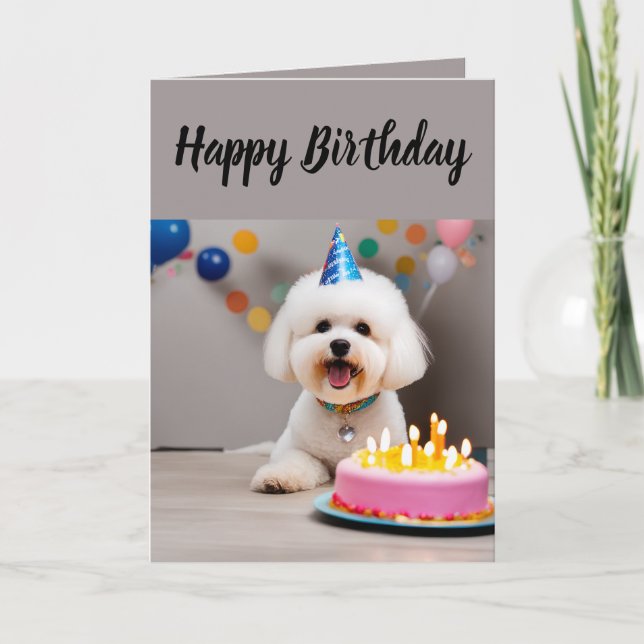 Cute Bichon Frisé Birthday Kort (Framsida)