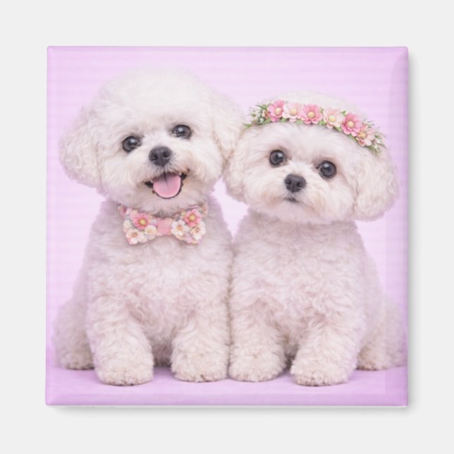 Cute Bichon Frise Couple Valentine Illustration Magnet (Framsidan)