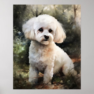 Cute Bichon Frise Hund Art Print Poster