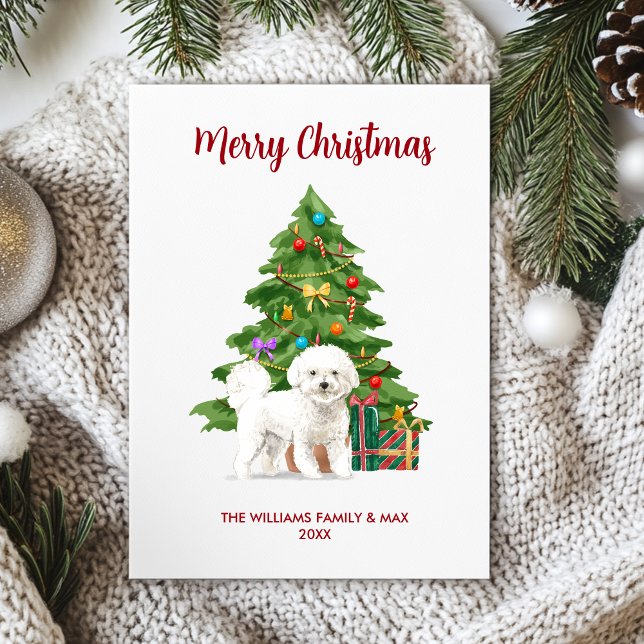 Cute Bichon Frise Hund-familjjul Julkort (Skapare uppladdad)
