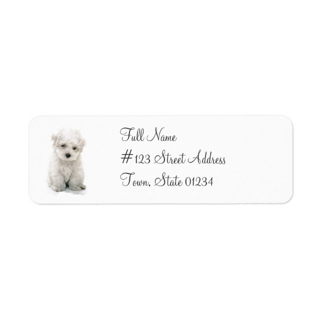 Cute Bichon Frise-Returadress, e-postetikett Returadress Etikett (Framsidan)