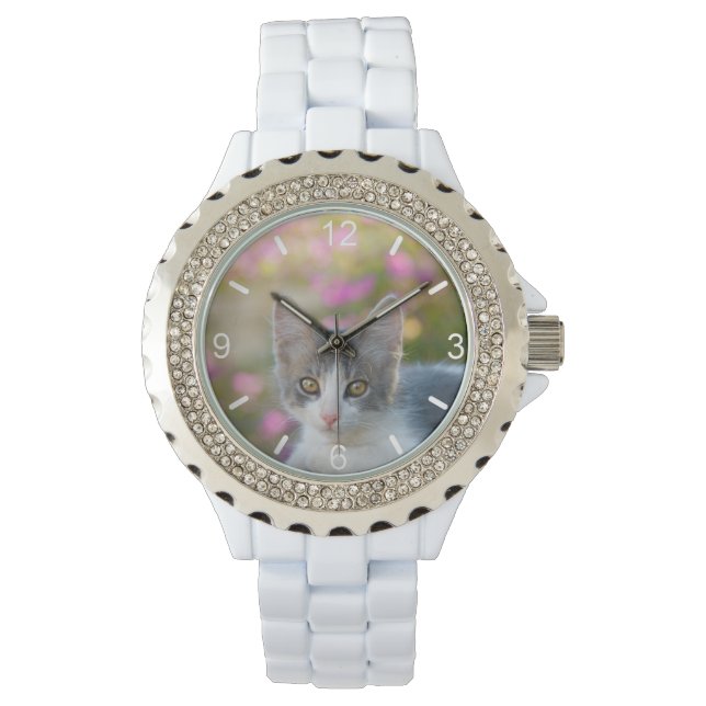 Cute Bicolor Kitten Fluffy Cat Photo - uppringning Armbandsur (Framsida)