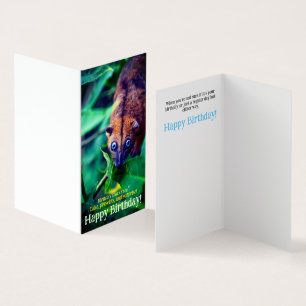Cute Big Eyed Possum i jungle Birday Card Kort