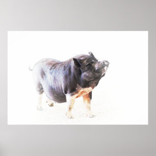 Cute Big Gris Farm Stil Art Poster