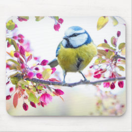 Cute Bird Musmatta