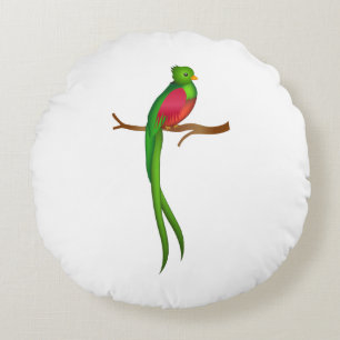 Cute bird Quetzal Rund Kudde
