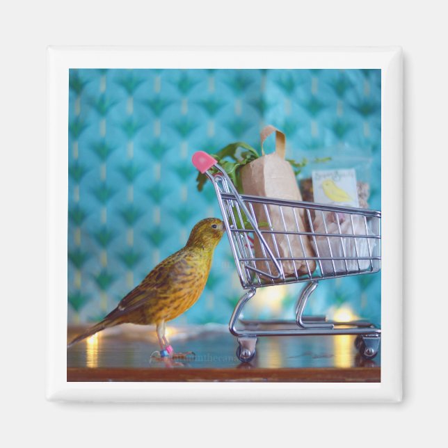 Cute Bird Shopping Magnet (Framsidan)