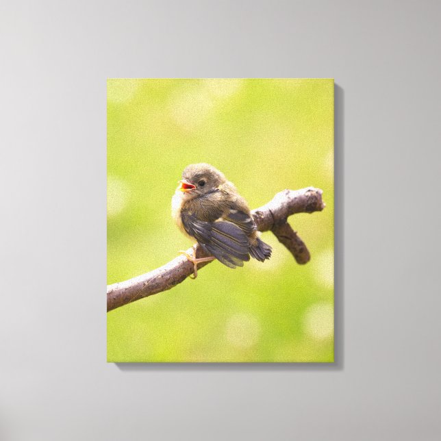 Cute bird sjunger lyckligt på en sommardag canvastryck (Framsida)