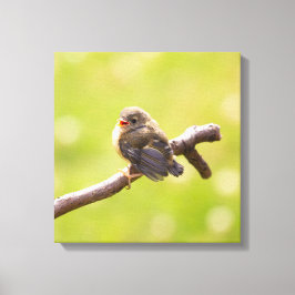 Cute bird sjunger lyckligt på en sommardag canvastryck