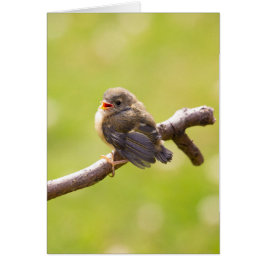 Cute bird sjunger lyckligt på en sommardag hälsningskort