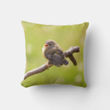 Cute bird sjunger lyckligt på en sommardag