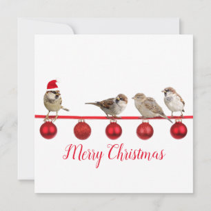 Cute Bird with Santa Hat God jul