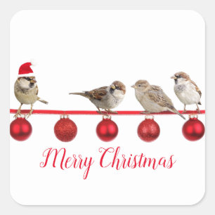 Cute Bird with Santa Hat God jul Fyrkantigt Klistermärke