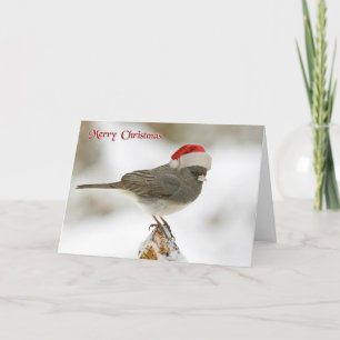 Cute Bird with Santa Hat God jul Helgkort