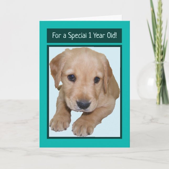 Cute Birday Card för 1 års gammal pojke Kort (Framsida)