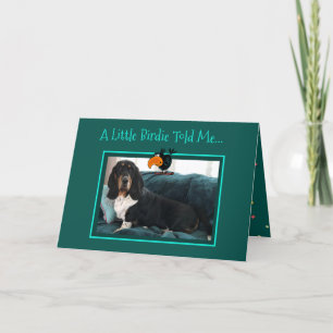 Cute Birdday Card w/Basset Hound and Birdie Helgkort