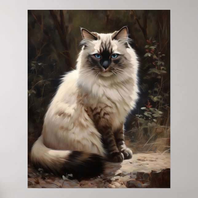 Cute Birman Cat Art Print Poster (Framsidan)