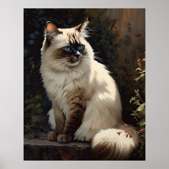 Cute Birman Cat Art Print Poster (Framsidan)