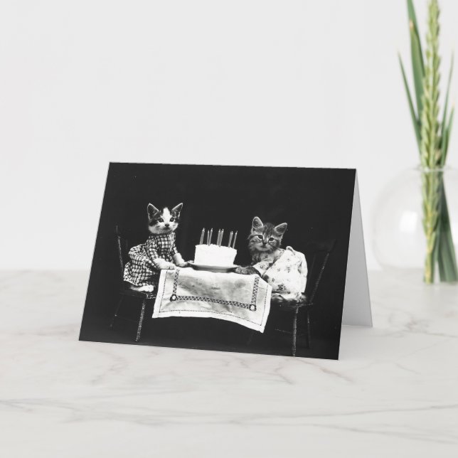 Cute Birthday Cake Cats Kort (Framsida)