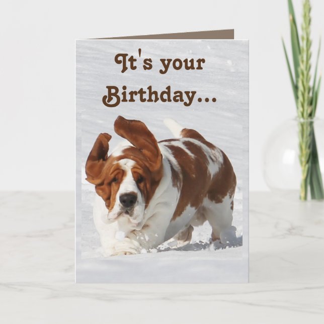 Cute Birthday Card w/Basset Hound & Champagne Kort (Framsida)