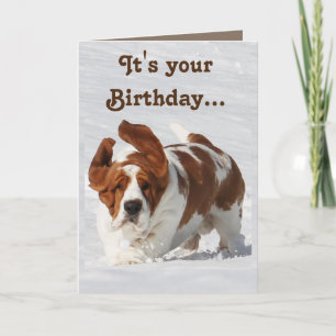 Cute Birthday Card w/Basset Hound & Champagne Kort