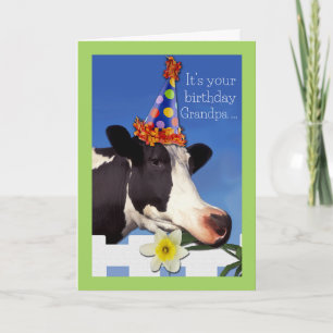 Cute Birthday för Grandpa med Funny Cow Card Kort