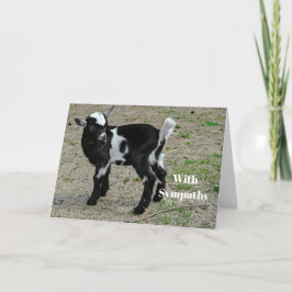 Cute Black and White Baby Goat Photo Sympathy Kort