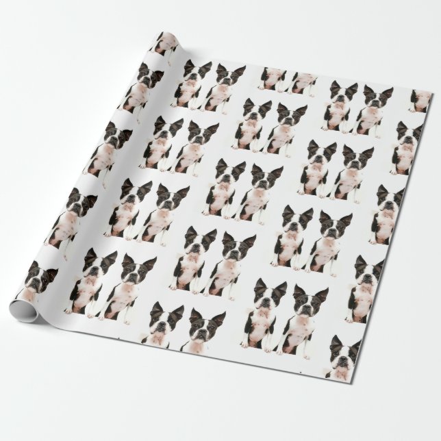 Cute Black and White Boston Terrier Pop Art Hund Presentpapper (Utrullad)