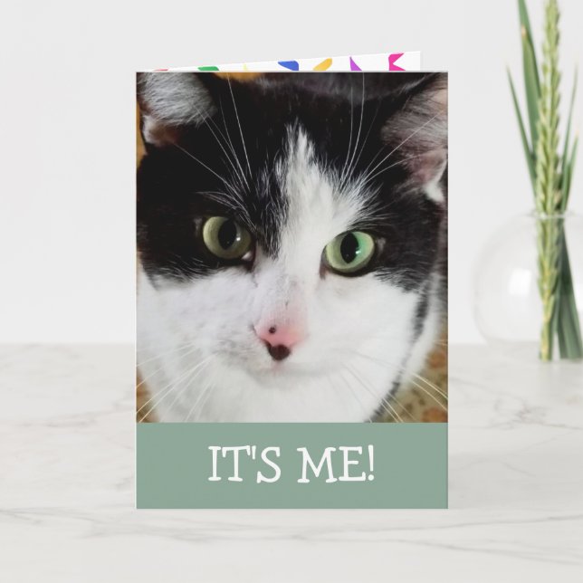 Cute Black and White Cat Birday Kort (Framsida)