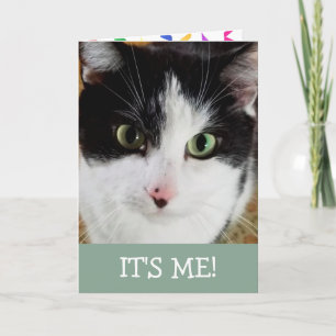 Cute Black and White Cat Birday Kort