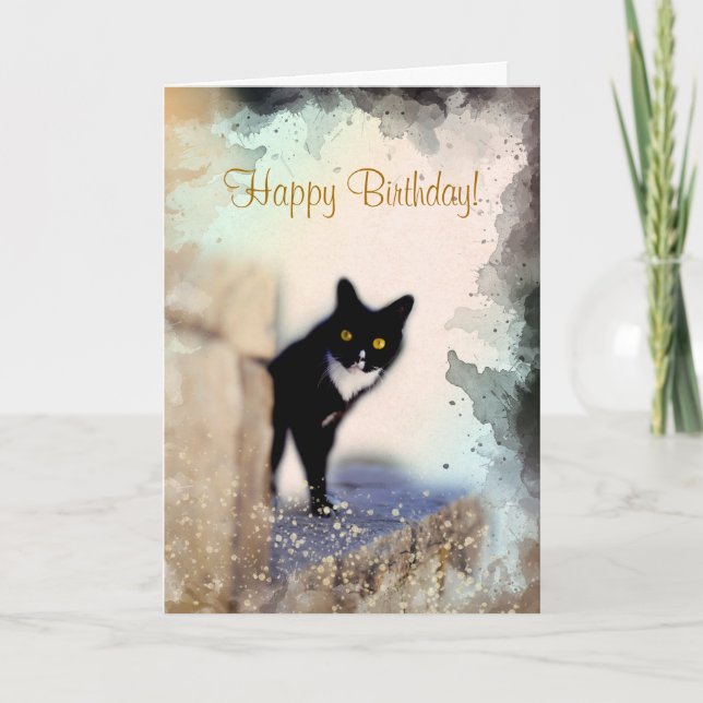 Cute Black and White Cat Personlig Pet Birthday Kort (Framsida)