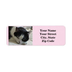 Cute Black and White Cat Photo Returadress Etikett