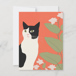 Cute Black and White Cat Vykort