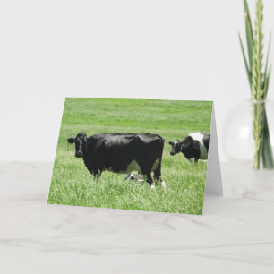 Cute Black and White Cows på servergruppens svarta Kort