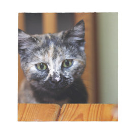 Cute Black and White Kitten Anteckningsblock