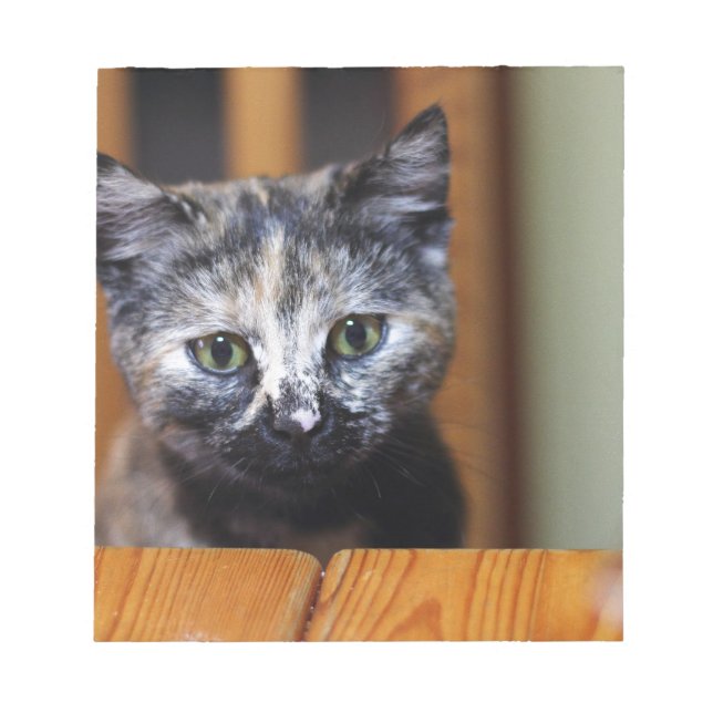 Cute Black and White Kitten Anteckningsblock (Framsida)