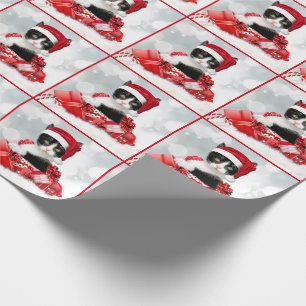 Cute Black and White Kitten Santa Presentpapper