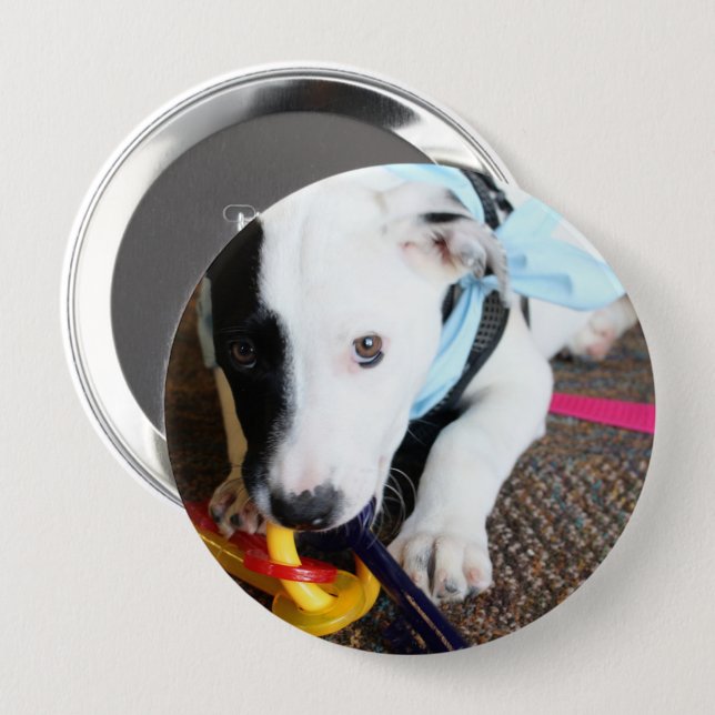 Cute Black and White Puppy Knapp (Framsida & baksida)
