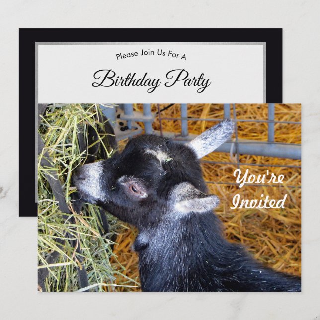 Cute Black Baby Goat Eating Hay Photo Birthday Inbjudningar (Fram/baksida)