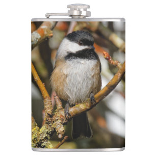 Cute Black-Caps Chickadee i Träd Fickplunta