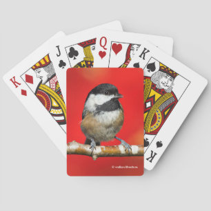 Cute Black-Caps Chickadee med Red Höst löv Casinokort