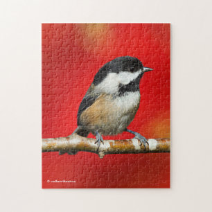 Cute Black-Caps Chickadee med Red Höst löv Pussel